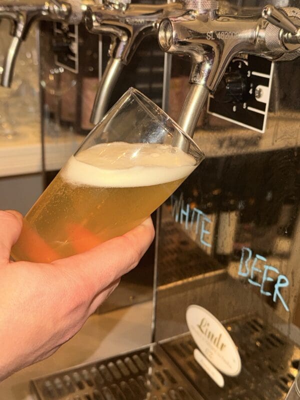 Beer glasses (box of 6)