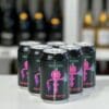 The Fruit Pét Nat 33 cl Six Pack