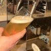 Beer glasses (box of 6)
