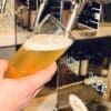 Rental Beer Glass